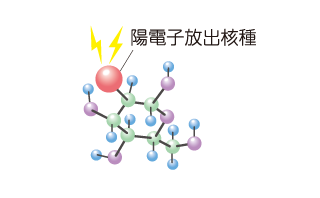 PET検査の仕組み2